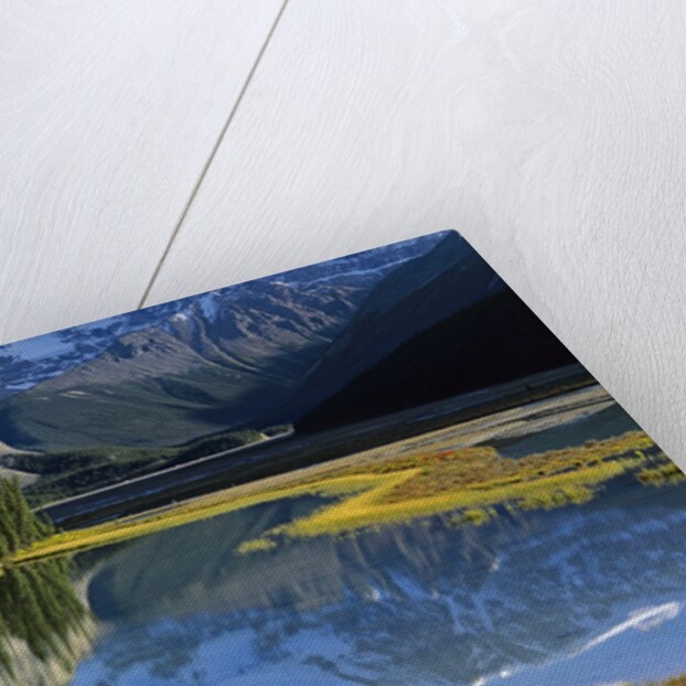 Mount Kitchener Reflected in Pond Near the Beauty Creek Hostel, Jasper National Park, Alberta, Canada by Anonymous