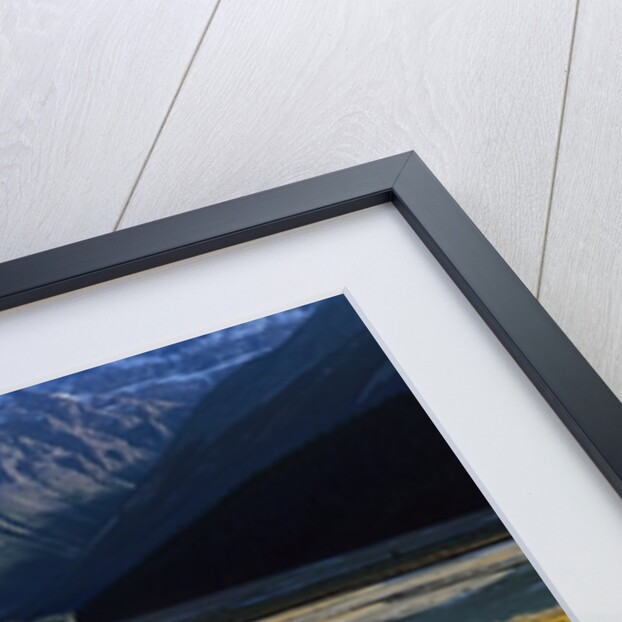 Mount Kitchener Reflected in Pond Near the Beauty Creek Hostel, Jasper National Park, Alberta, Canada by Anonymous