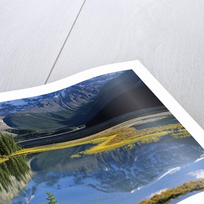 Mount Kitchener Reflected in Pond Near the Beauty Creek Hostel, Jasper National Park, Alberta, Canada by Anonymous