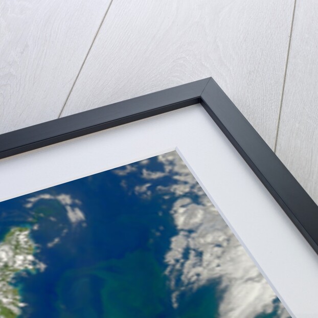 Phytoplankton Bloom in the Pacific Ocean East of New Zealand by Anonymous