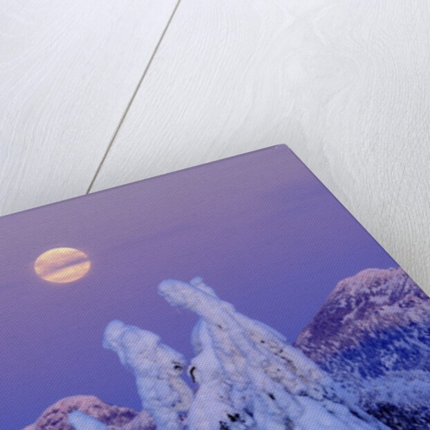 Moonset at Sunrise, Winter, Mount Seymour Provincial Park, North Vancouver, British Columbia by Anonymous