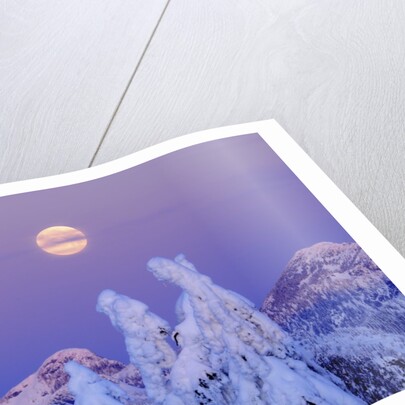 Moonset at Sunrise, Winter, Mount Seymour Provincial Park, North Vancouver, British Columbia by Anonymous