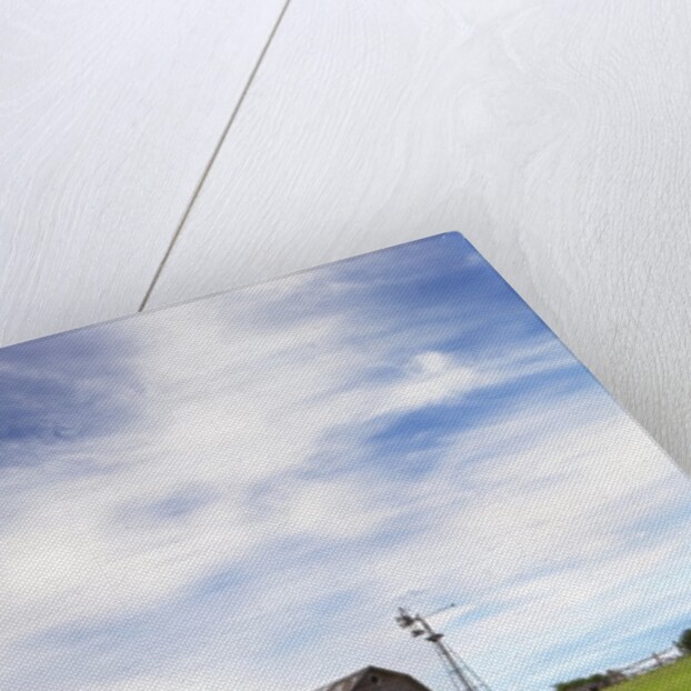 Abandoned Barn, Near Leader, Saskatchewan, Canada by Anonymous
