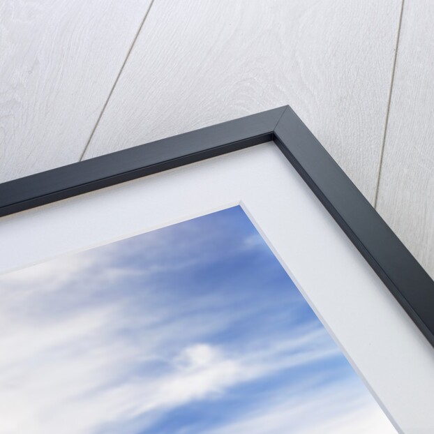 Abandoned Barn, Near Leader, Saskatchewan, Canada by Anonymous