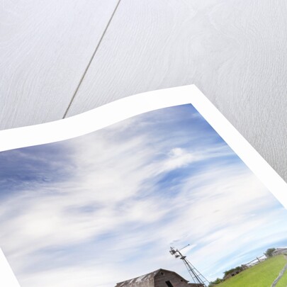 Abandoned Barn, Near Leader, Saskatchewan, Canada by Anonymous