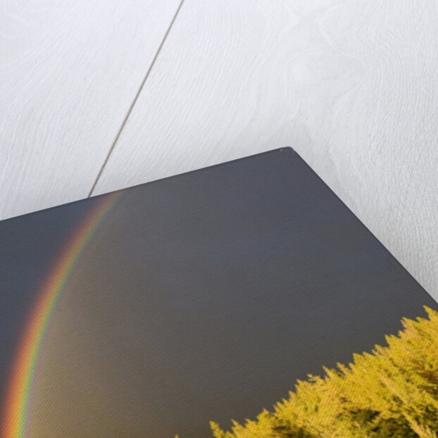 A Double Rainbow During a Storm in Banff National Parknear Banff Alberta, Canada. by Anonymous