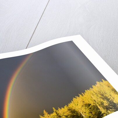 A Double Rainbow During a Storm in Banff National Parknear Banff Alberta, Canada. by Anonymous