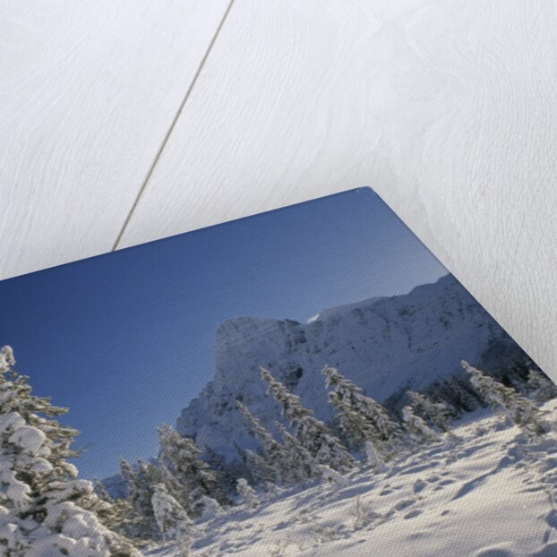 Mount Chephren and Mistaya Valley in Winter, Banff National Park, Alberta, Canada by Anonymous