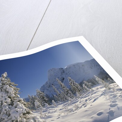 Mount Chephren and Mistaya Valley in Winter, Banff National Park, Alberta, Canada by Anonymous