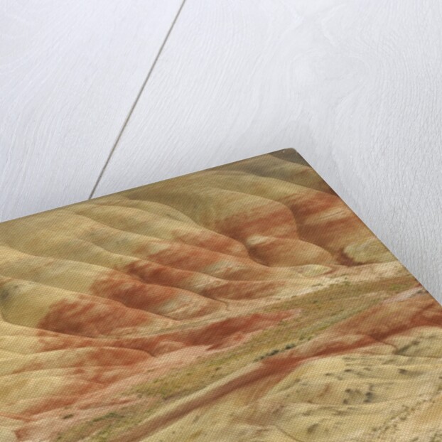 The Painted Hills at the John Day Fossil Beds National Monument, Oregon, USA by Anonymous