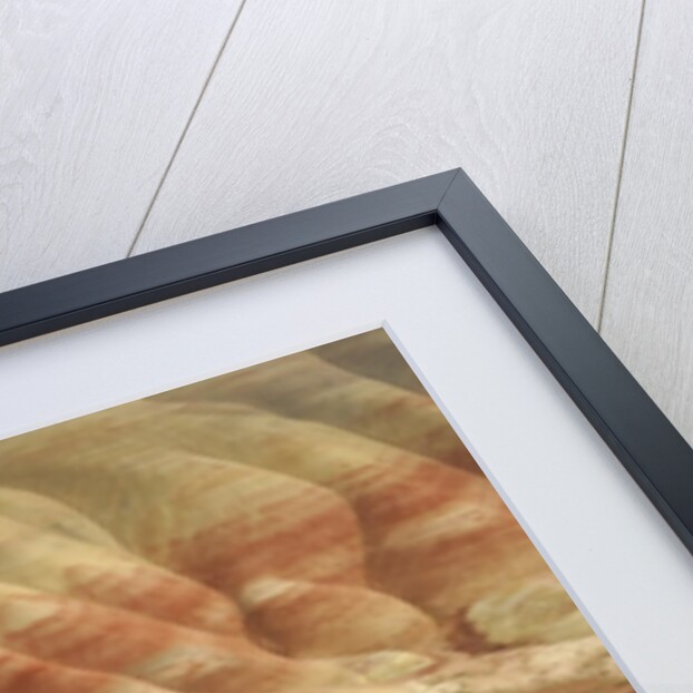 The Painted Hills at the John Day Fossil Beds National Monument, Oregon, USA by Anonymous