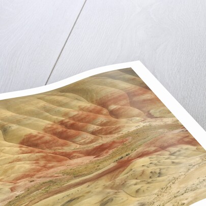 The Painted Hills at the John Day Fossil Beds National Monument, Oregon, USA by Anonymous