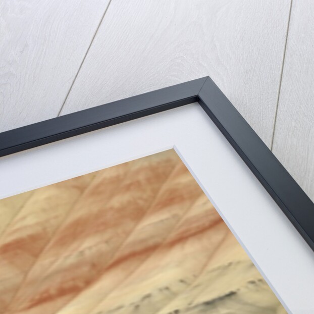 The Painted Hills at the John Day Fossil Beds National Monument, Oregon, USA by Anonymous