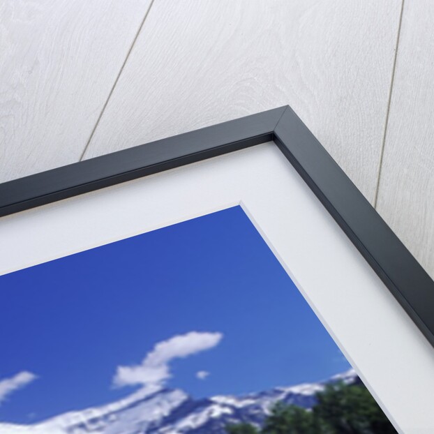 Mount Robson, 3954 M, Highest Peak in Canadian Rockies, British Columbia, Canada. by Anonymous