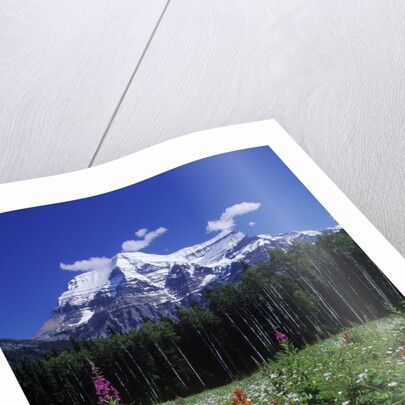 Mount Robson, 3954 M, Highest Peak in Canadian Rockies, British Columbia, Canada. by Anonymous