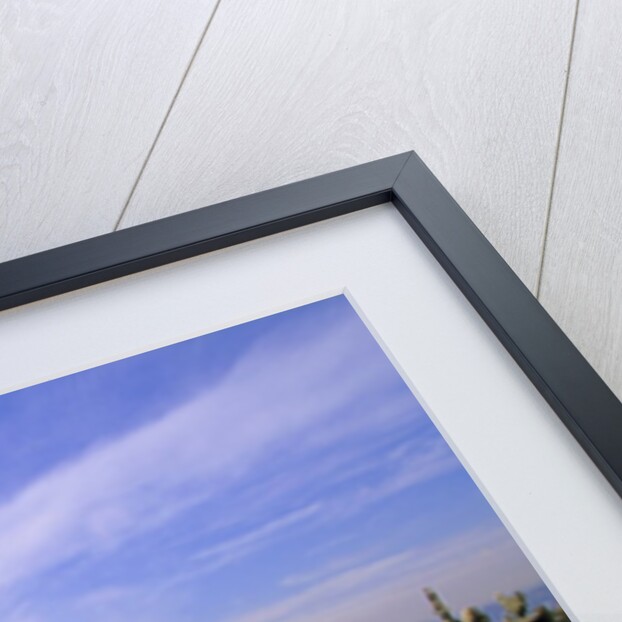 Balanced Rocks Along Seawall, Stanley Park, Vancouver, British Columbia, Canada. by Anonymous
