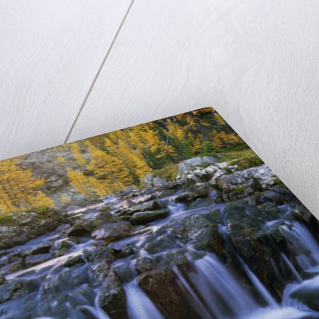 Lake O'Hara, Opabin Plateau, Cascade Lakes, Yoho National Park, British Columbia, Canada. by Anonymous