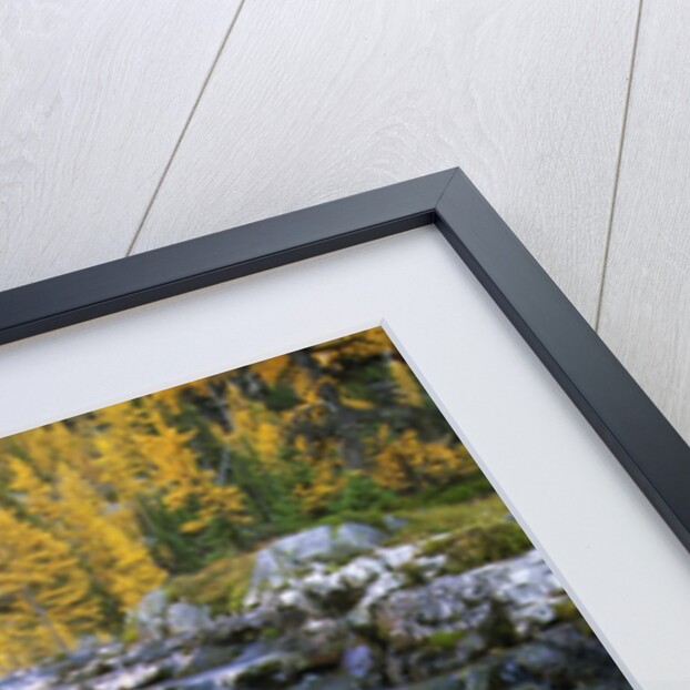 Lake O'Hara, Opabin Plateau, Cascade Lakes, Yoho National Park, British Columbia, Canada. by Anonymous
