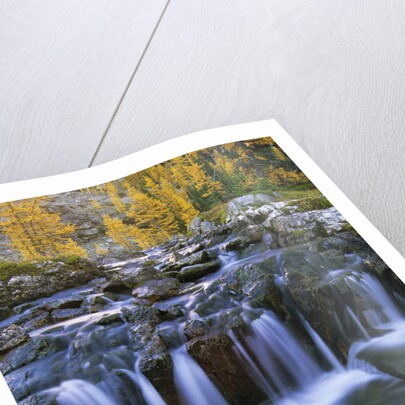 Lake O'Hara, Opabin Plateau, Cascade Lakes, Yoho National Park, British Columbia, Canada. by Anonymous