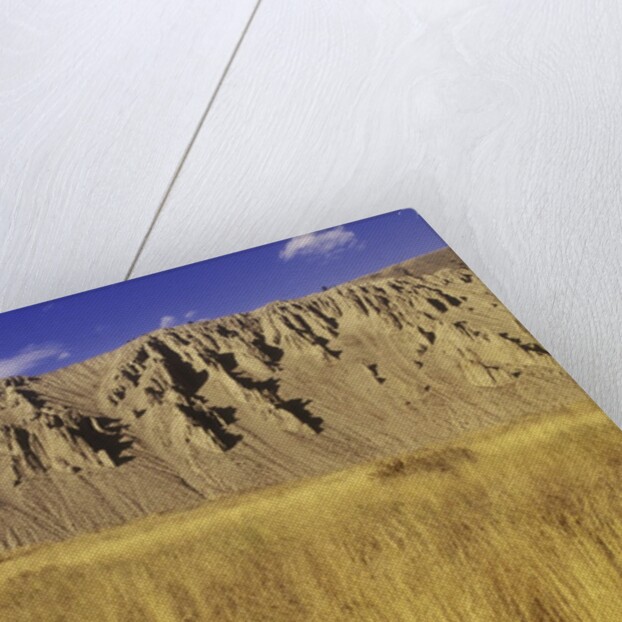 Grasslands at Farwell Canyon, British Columbia, Canada. by Anonymous