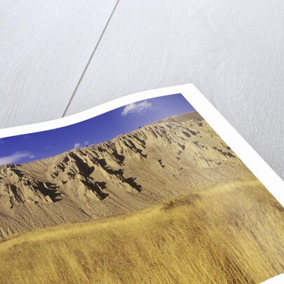 Grasslands at Farwell Canyon, British Columbia, Canada. by Anonymous