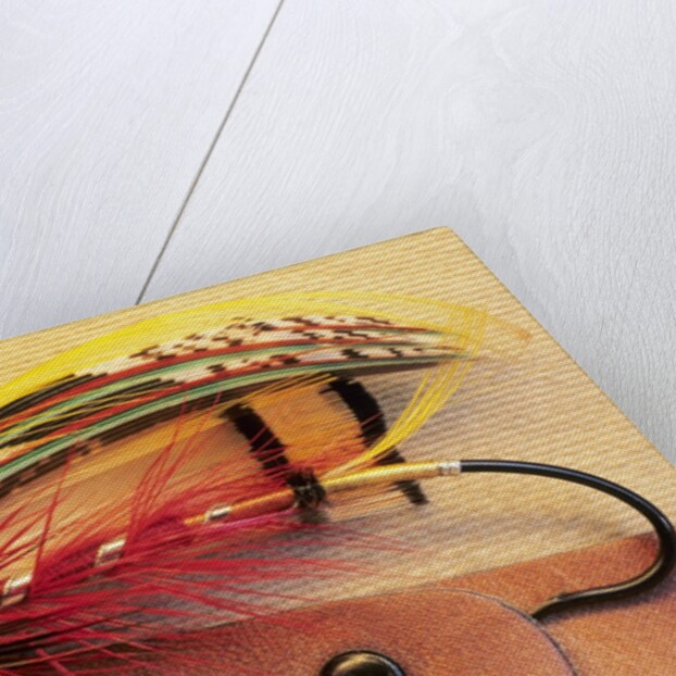 Atlantic Salmon Fly on Hat Brim, British Columbia, Canada. by Anonymous