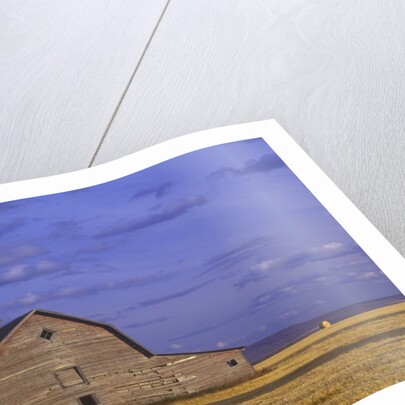 Old Barn in the Peace River Country, Near Dawson Creek, British Columbia, Canada. by Anonymous