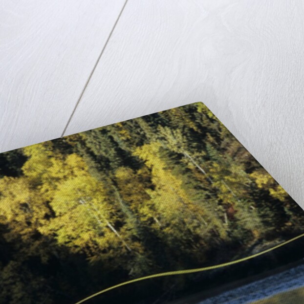 Flyfisherman and Fall Reflections, Bulkley River,Smithers, British Columbia, Canada. by Anonymous