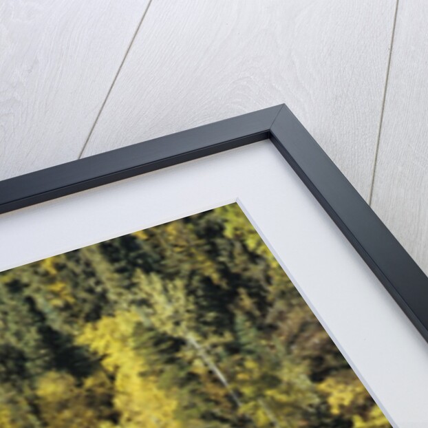 Flyfisherman and Fall Reflections, Bulkley River,Smithers, British Columbia, Canada. by Anonymous