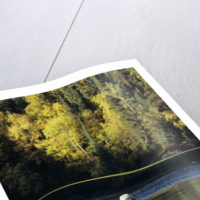 Flyfisherman and Fall Reflections, Bulkley River,Smithers, British Columbia, Canada. by Anonymous