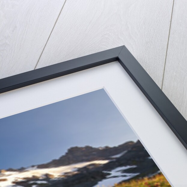 Morning light, Paradise, Mount Rainier National Park, Washington State by Anonymous