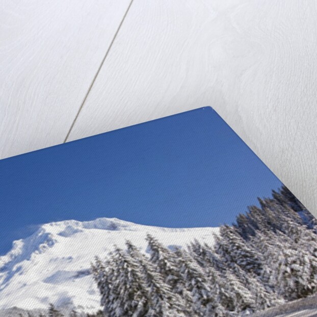 Snow covered road, Mount Hood, Oregon Cascades by Anonymous