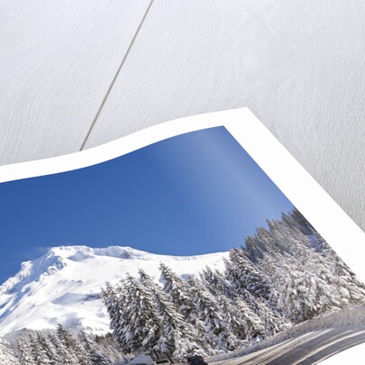 Snow covered road, Mount Hood, Oregon Cascades by Anonymous