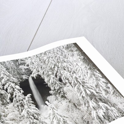 North Falls surrounded by snow-covered trees by Anonymous