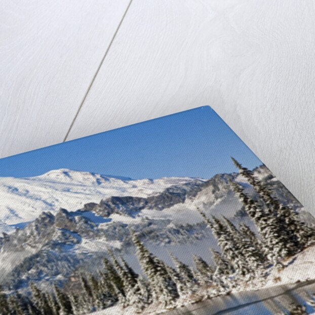 First winter snow at Mount Rainier and Tipsoo Lake, Mount Rainier National Park, Washington State by Anonymous