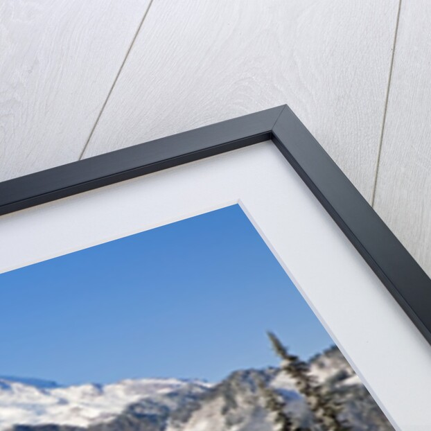 First winter snow at Mount Rainier and Tipsoo Lake, Mount Rainier National Park, Washington State by Anonymous