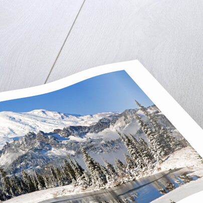 First winter snow at Mount Rainier and Tipsoo Lake, Mount Rainier National Park, Washington State by Anonymous