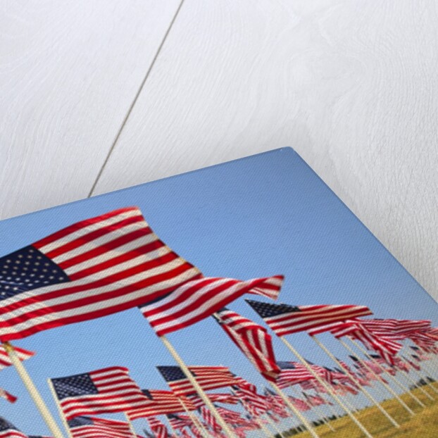 American Flags, Oregon by Anonymous