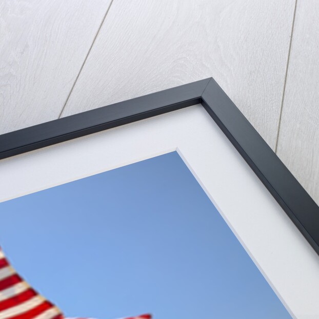 American Flags, Oregon by Anonymous