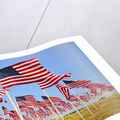 American Flags, Oregon by Anonymous