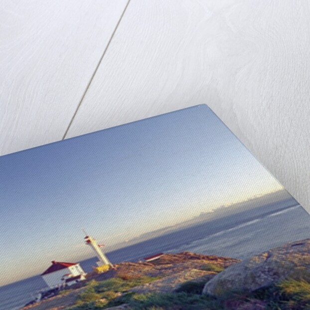 Trial Island Lighthouse with the Strait of Juan De Fuca in Background, Victoria, British Columbia, Canada. by Anonymous