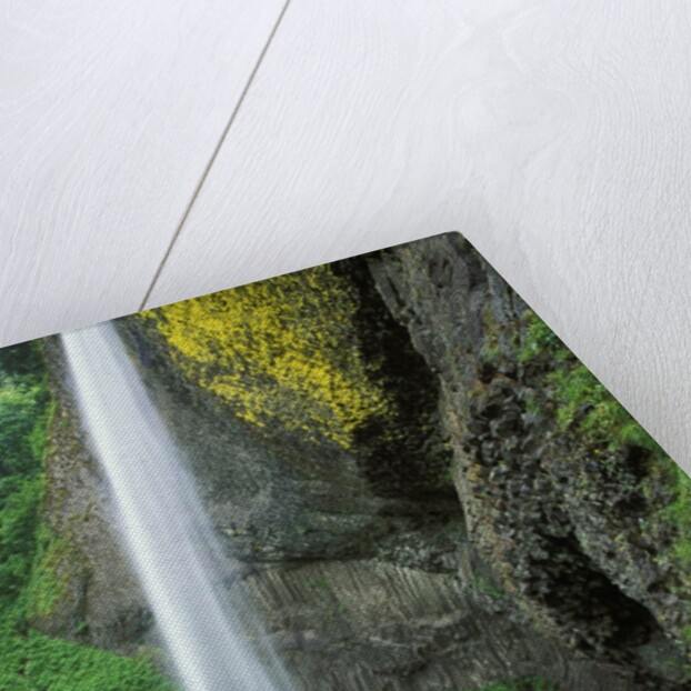 USA, Oregon, Columbia River Gorge Area, Scenic Waterfalls, Latourelle Falls by Anonymous