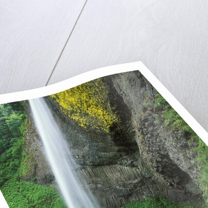 USA, Oregon, Columbia River Gorge Area, Scenic Waterfalls, Latourelle Falls by Anonymous
