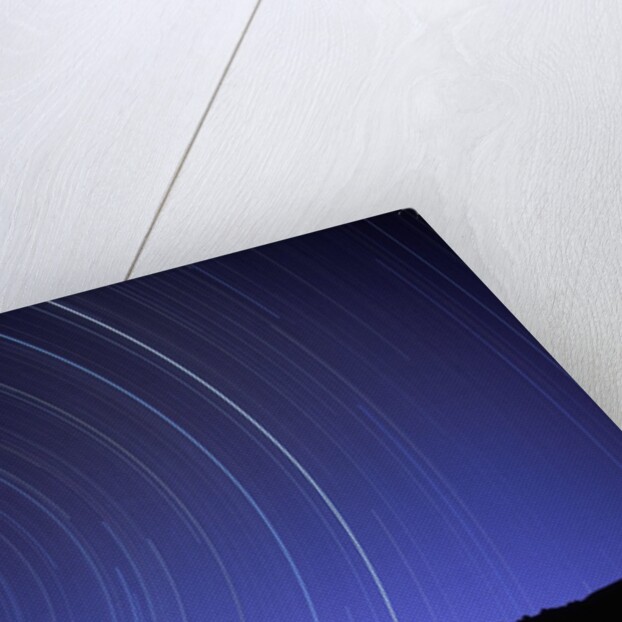 Star Trails Over Mountain Range in Utah by Anonymous