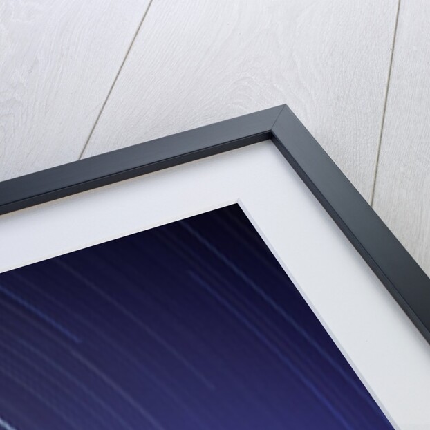 Star Trails Over Mountain Range in Utah by Anonymous