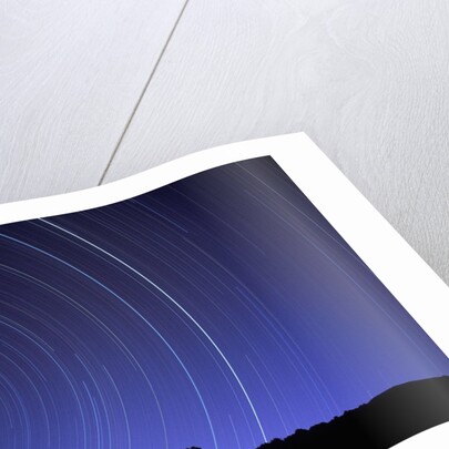 Star Trails Over Mountain Range in Utah by Anonymous