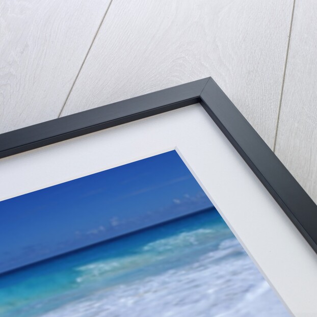 Mexico, Yucatan Peninsula, Carribean Beach at Cancun, Conch Shell on Sand by Anonymous