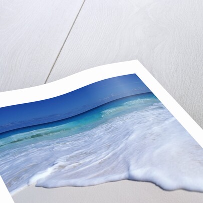 Mexico, Yucatan Peninsula, Carribean Beach at Cancun, Conch Shell on Sand by Anonymous