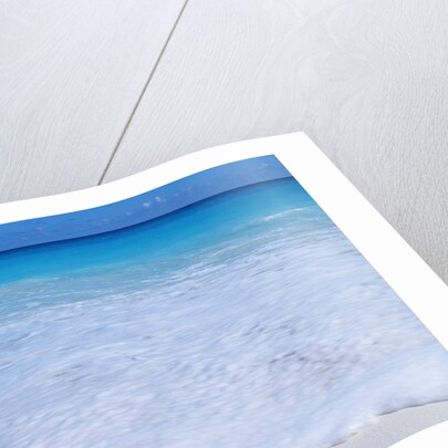 Mexico, Yucatan Peninsula, Carribean Beach at Cancun, Conch Shell on Sand by Corbis