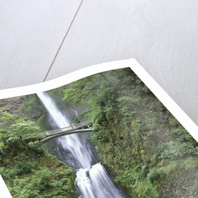 USA, Oregon, Columbia River Gorge Area, Scenic Waterfalls, Multonomah Falls by Anonymous